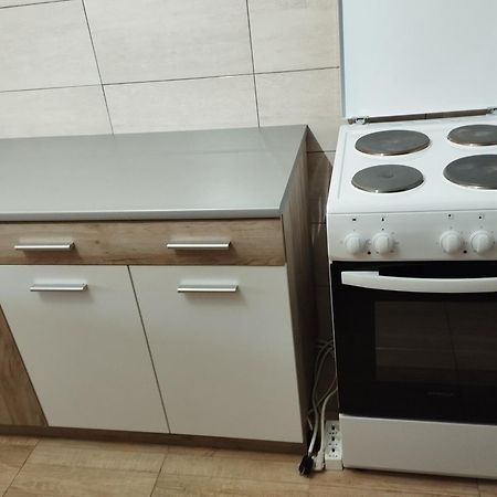 Guest House Vila Aleksa Bogutovac Экстерьер фото
