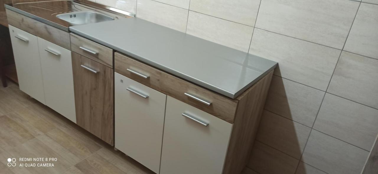 Guest House Vila Aleksa Bogutovac Экстерьер фото