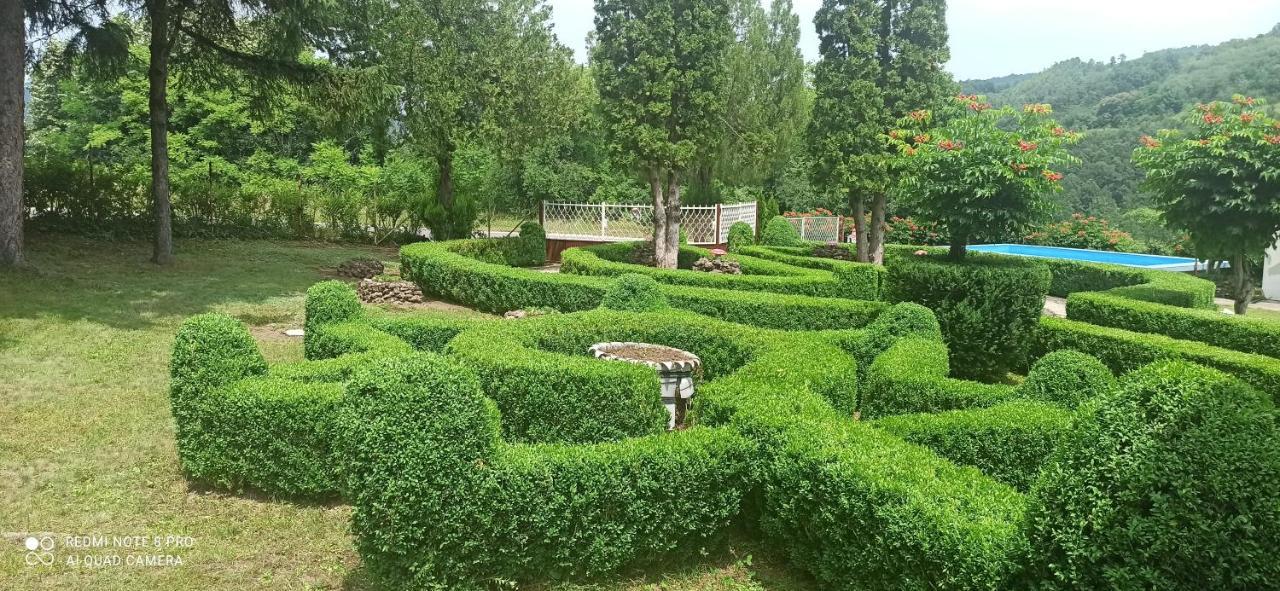 Guest House Vila Aleksa Bogutovac Экстерьер фото