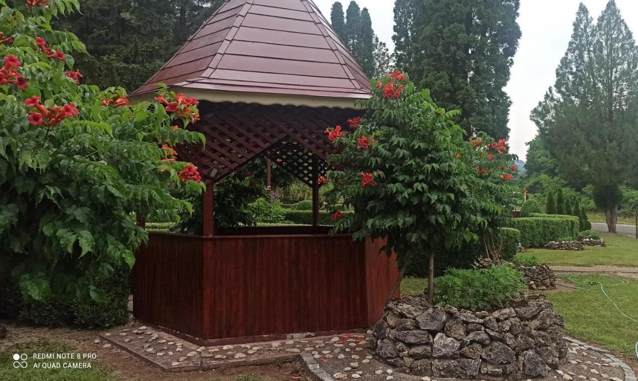 Guest House Vila Aleksa Bogutovac Экстерьер фото