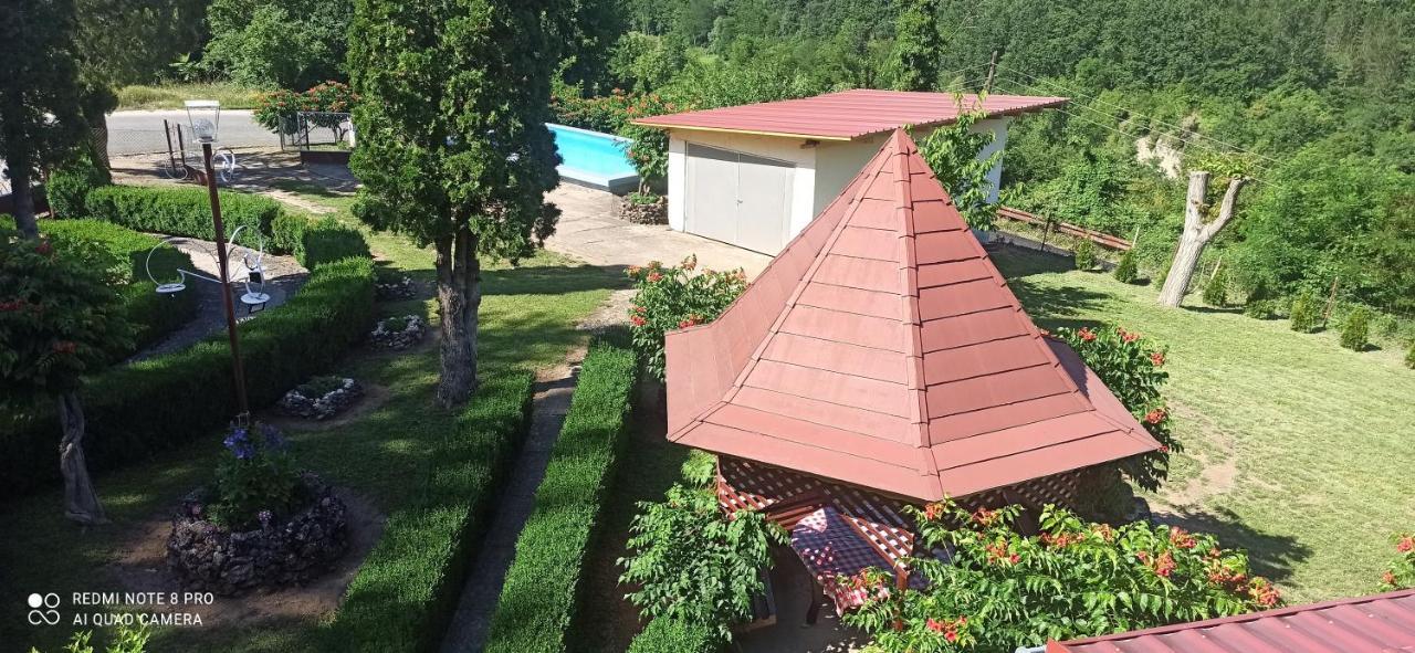 Guest House Vila Aleksa Bogutovac Экстерьер фото