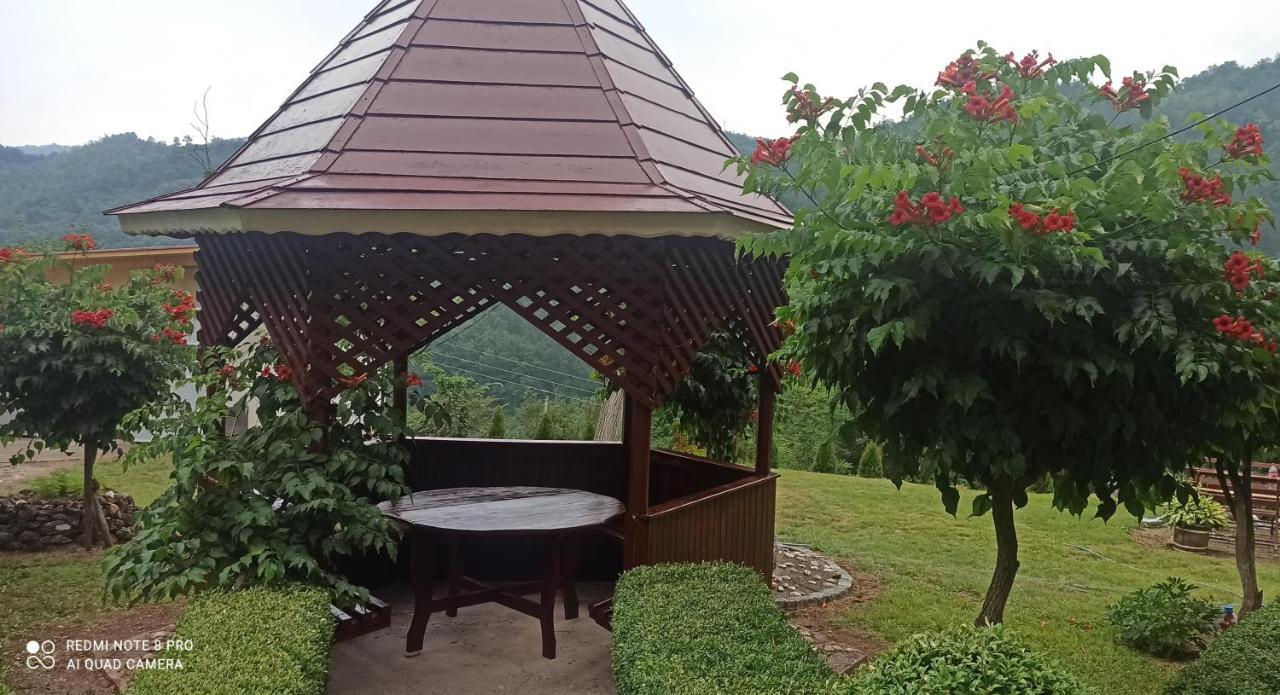 Guest House Vila Aleksa Bogutovac Экстерьер фото